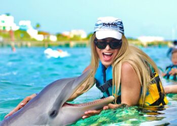 nadar con delfines