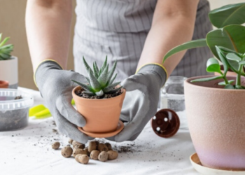 Conectar con la naturaleza