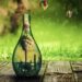 botella ecologica
