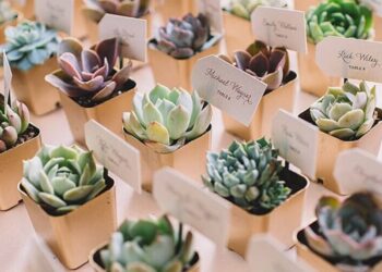 detalles para invitados