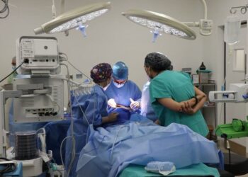 1.er trasplante de corazón de cerdo a humano en resultar exitoso