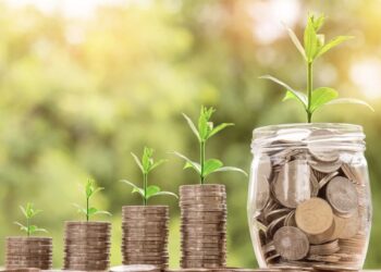 crecer el dinero