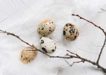Decoraciones de Pascua con materiales que tienes en casa