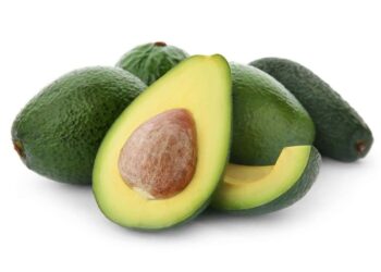 Semilla del aguacate