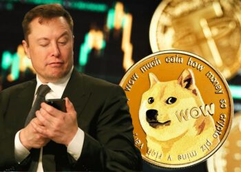 Elon Musk, Tesla y SpaceX demandados por $ 258 mil millones por el supuesto esquema piramidal de Dogecoin