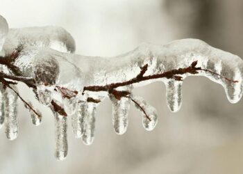 'Crypto Winter' congela la contratación en Gemini y Coinbase después de Earth Crash y Bitcoin Crash