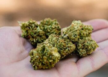 marihuana