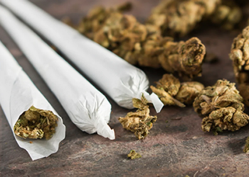 Beneficios que la marihuana otorga al cuerpo