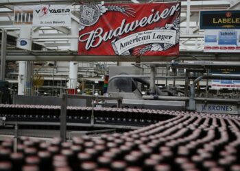 Negocio cervecero 'bien posicionado' contra la inflación: CEO de Anheuser-Busch
