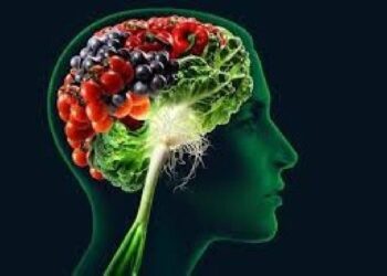 cerebro en nutrición