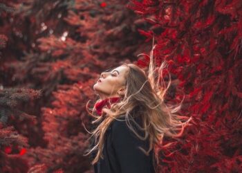 Modelo otoño