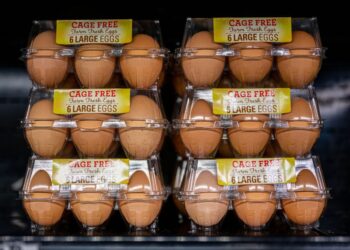 La inflación implacable y el aumento de los precios de los alimentos ponen nerviosos a estos estadounidenses