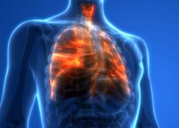 terapia con células madre