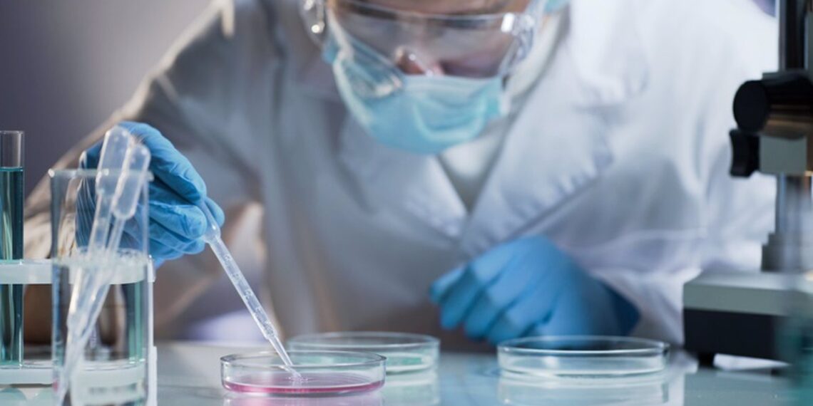 ¿Qué es la terapia con células T y cómo ayuda en la lucha contra el cáncer?