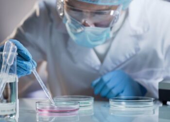 ¿Qué es la terapia con células T y cómo ayuda en la lucha contra el cáncer?