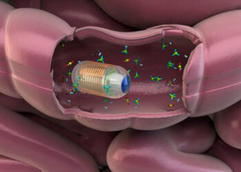 cápsulas inteligentes