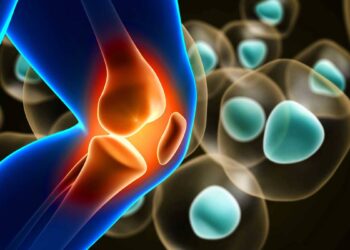 ¿Cómo se transforma la medicina con células madre regenerativas?