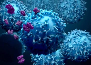 Terapia con células NK