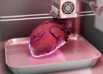 La revolución de los trasplantes de órganos artificiales