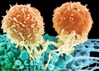 El prometedor futuro de la terapia con células dendríticas en el tratamiento del cáncer