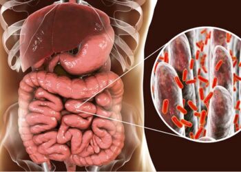 Todo lo que debes saber sobre el microbioma humano