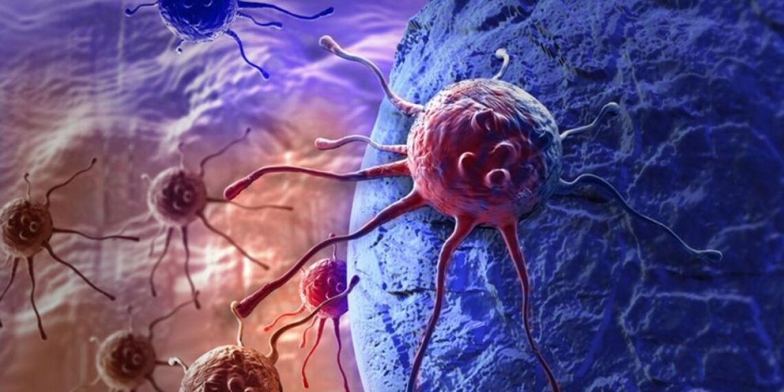 La inmunoterapia: una esperanza en la lucha contra el cáncer