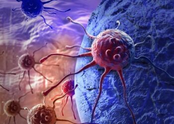 La inmunoterapia: una esperanza en la lucha contra el cáncer