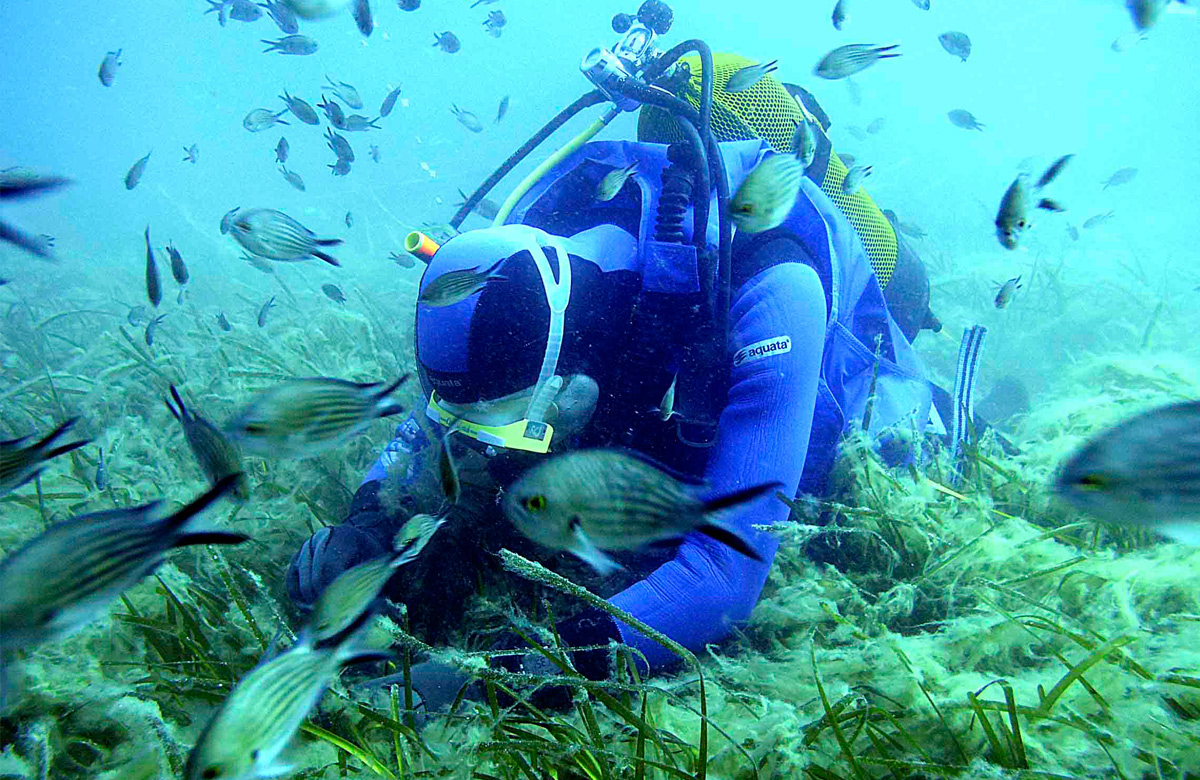 Biotecnología Marina