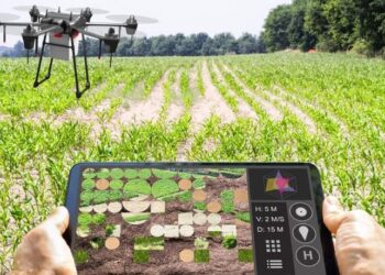 ¿Qué es Agricultura de Precisión y cómo optimiza su cultivo?
