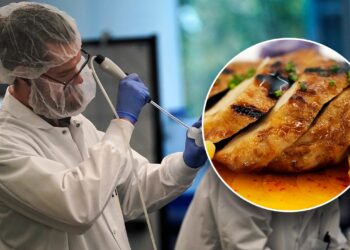 El USDA aprueba la primera carne 'criada en laboratorio' para ser vendida al público