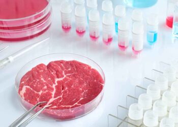 El peligro de la comida sintética para nuestra salud