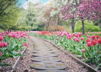 Cómo diseñar un jardín con árboles frutales