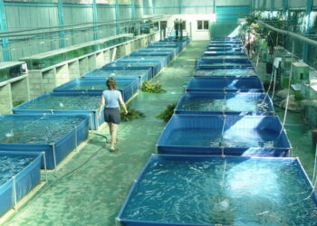 La Biotecnología Marina