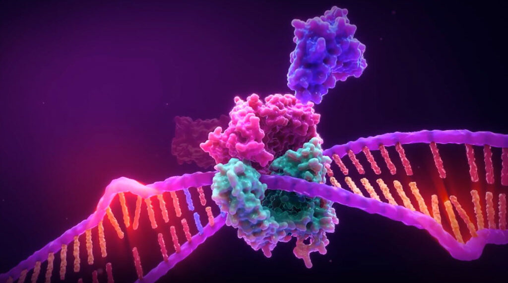 Todo lo que necesitas saber sobre los microsatélites
