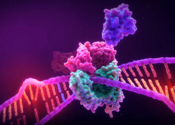 Todo lo que necesitas saber sobre los microsatélites