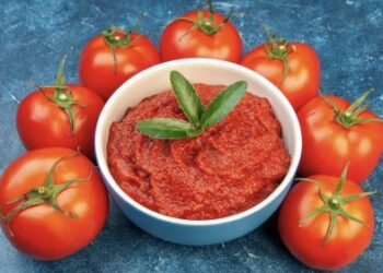 Tomates envasados: la mejor opción para el hogar y los viajes
