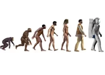 ¿Cómo la Teoría de la Evolución ha Impactado la Ciencia?