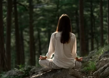 La reconexión con la naturaleza: una guía para recuperar el equilibrio en nuestro estilo de vida
