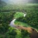 Descubriendo la rica biodiversidad en la Amazonia: Una joya natural