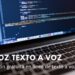 Vidnoz es la herramienta gratuita para convertir texto a voz
