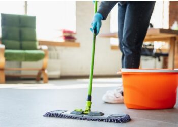 Conoce 3 servicios que nunca pierden popularidad