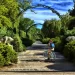 Descubriendo los parques emblemáticos de Madrid: Una guía completa