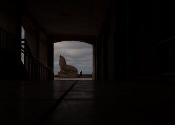 Todo lo que necesitas saber sobre el Curso V7.01: Análisis y Comentarios Detallados