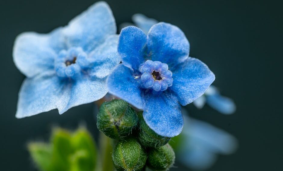 Guía Definitiva: Cuánto Dinero Necesitas Para que te den la Visa – Todo lo que Debes Saber