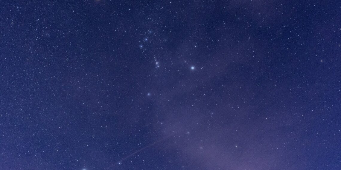 Todo lo que Necesitas Saber: Opiniones y Análisis de los Cursos Orion