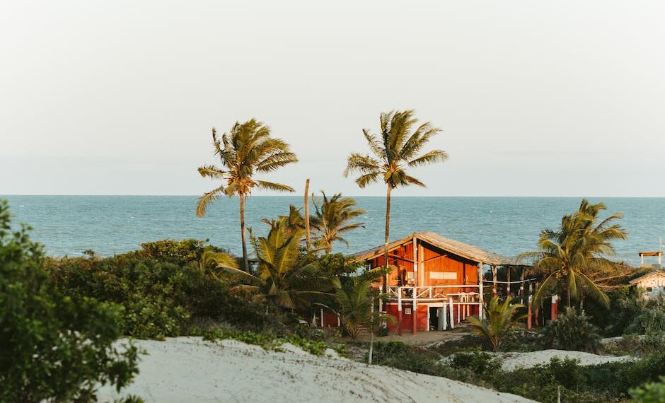 Descubre qué es un Adjetivo: Definición, Usos y Ejemplos Detallados