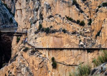Todo lo que Debes Saber sobre Qué es un Quiste en el Riñón: Causas, Síntomas y Tratamientos