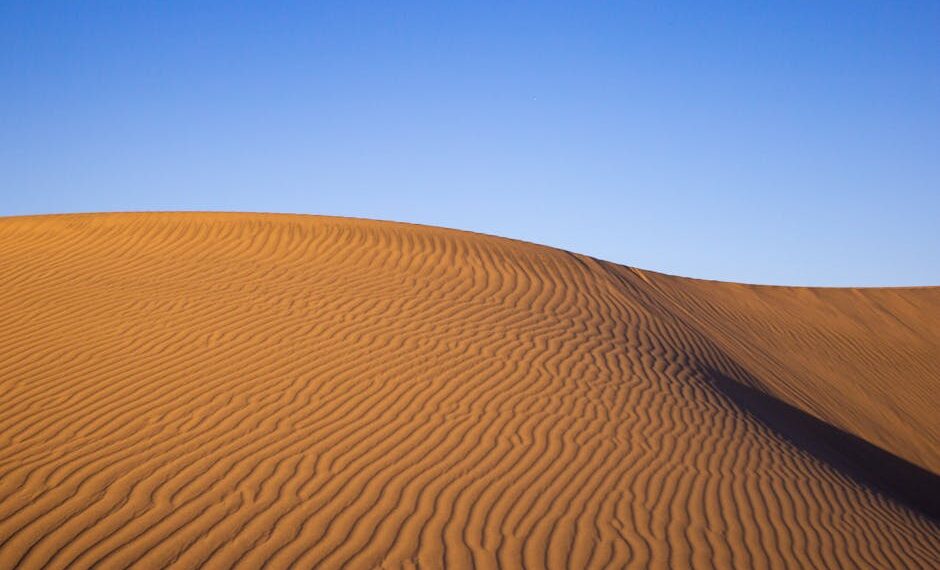 Guía Completa: ¿Cuánto Dinero Necesito para Abrir una Botica en Perú? Consejos y Trucos