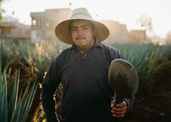 Guía definitiva: Cuánto dinero necesito para entrar a México – Costos y Consideraciones
