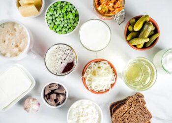 probioticos naturales